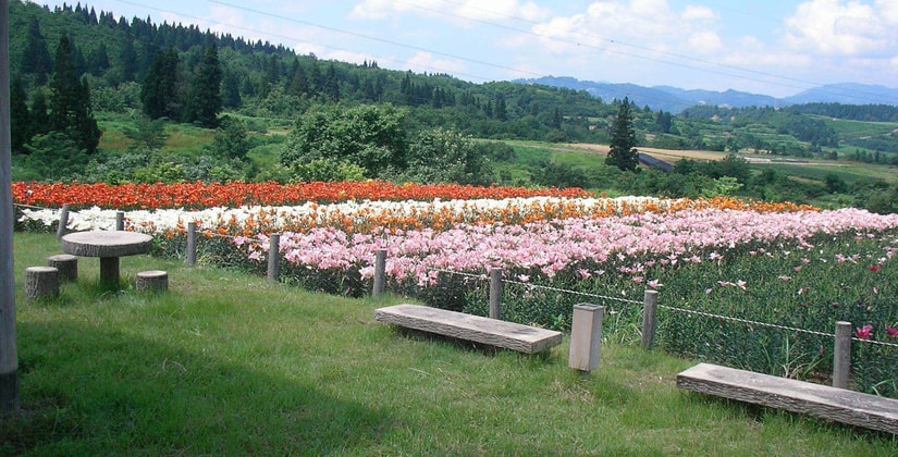 sany0003.jpg
