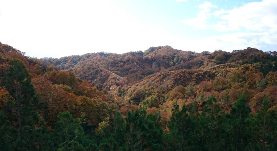 結の灯り