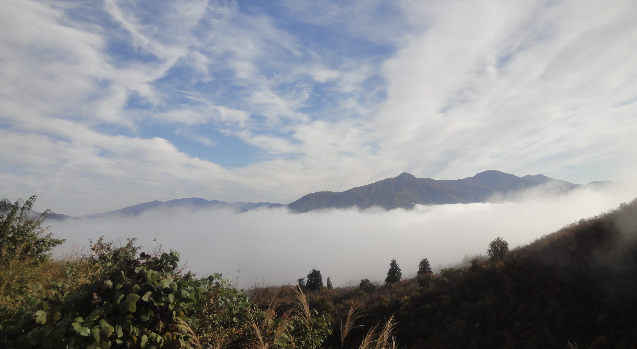 枝折峠の雲海