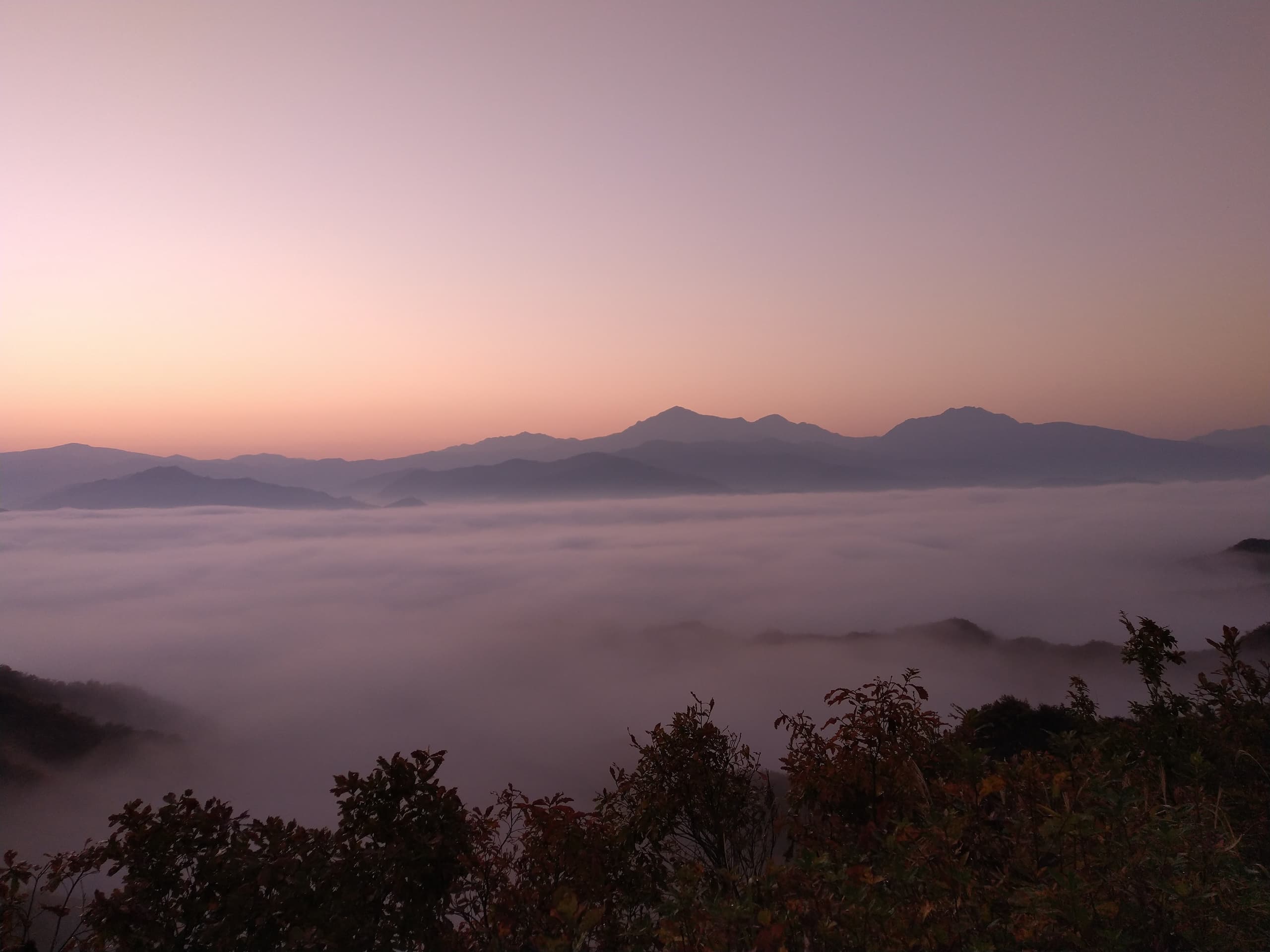 dsc_0176.jpg