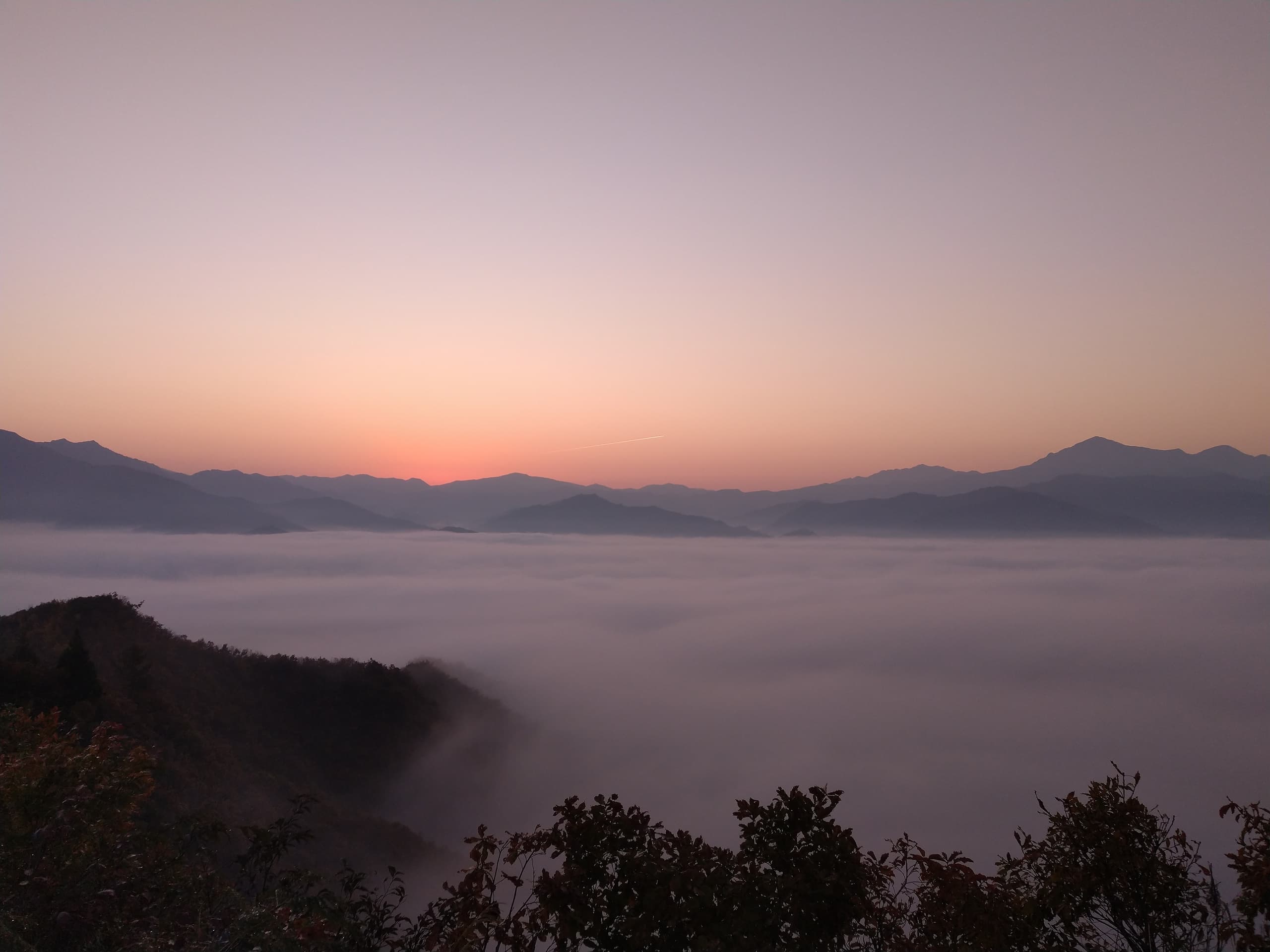 dsc_0184.jpg