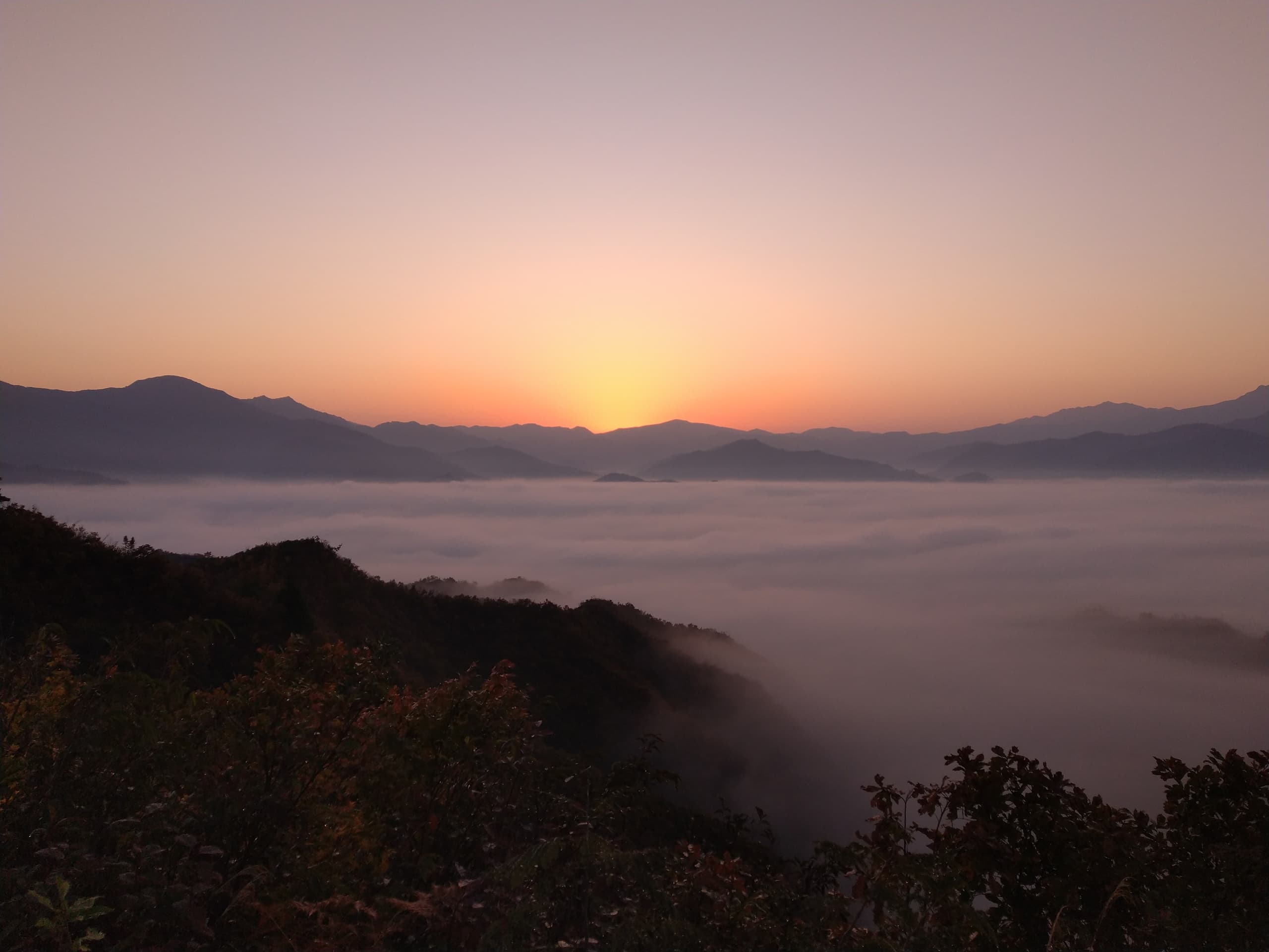 dsc_0189.jpg