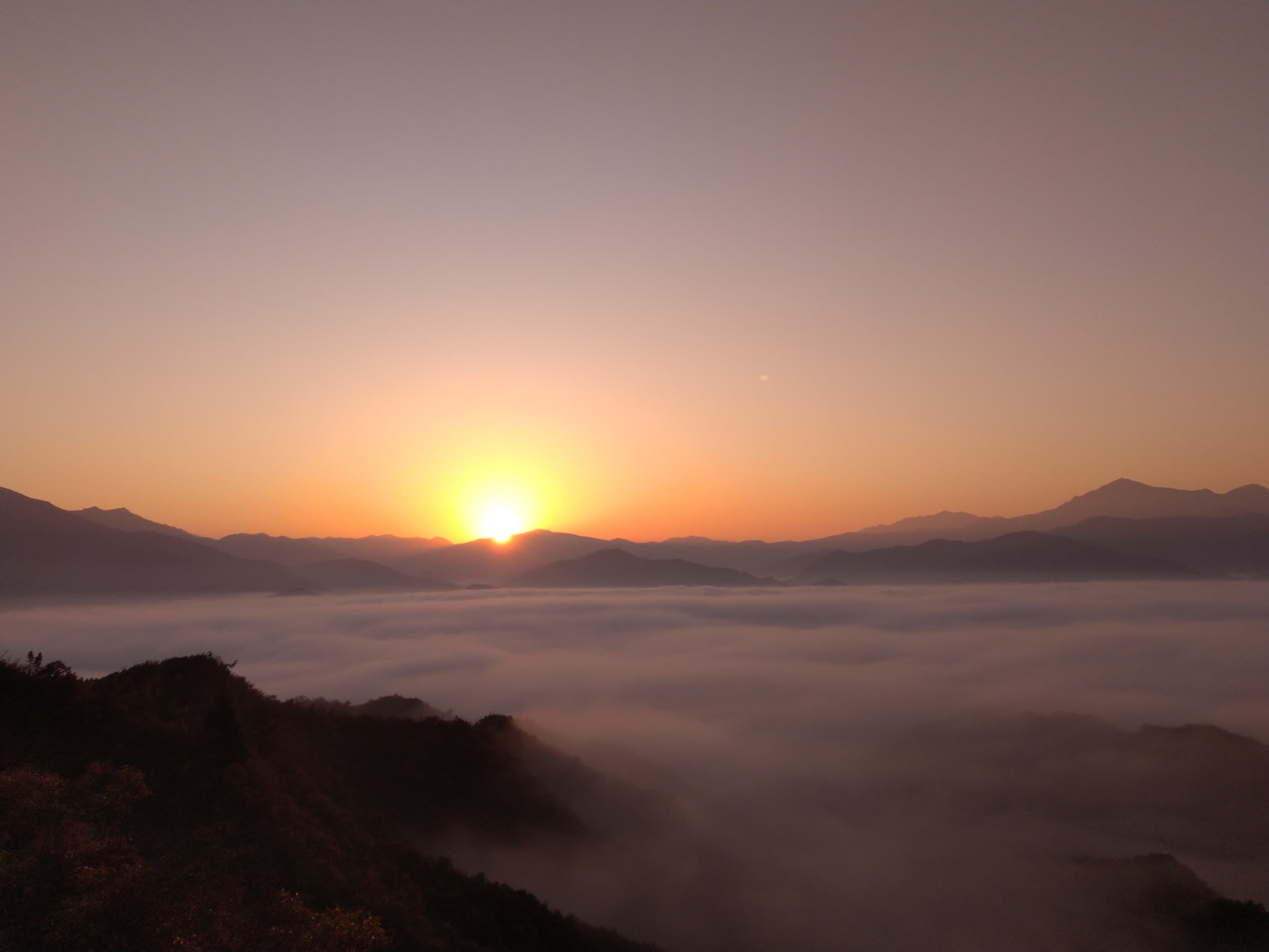 dsc_0205.jpg